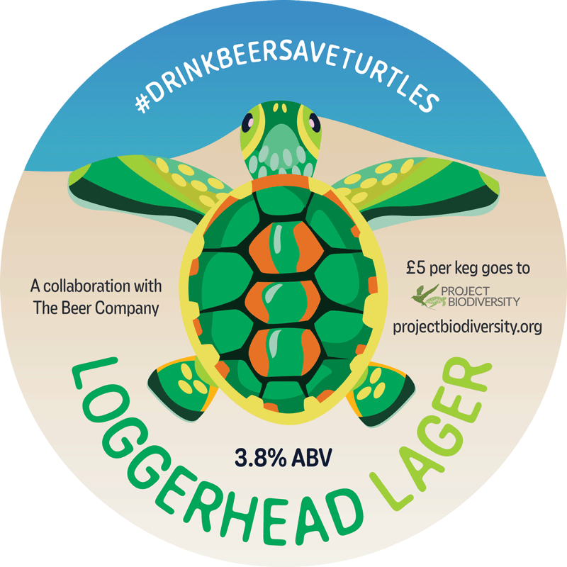 Loggerhead Lager